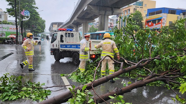 Bão chưa về, cây xanh đã đổ la liệt ở Hà Nội- Ảnh 4.