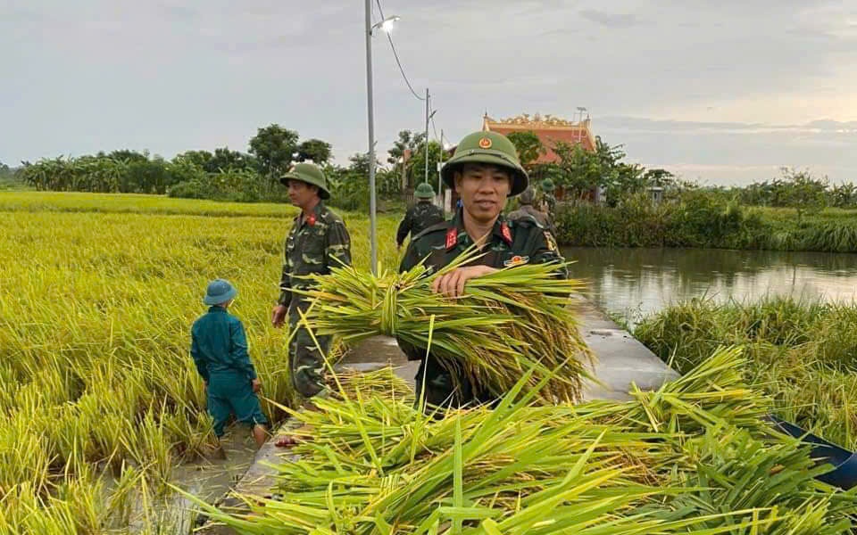 Bộ đội giúp dân "chạy" bão số 3