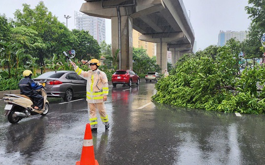 Bão chưa về, cây xanh đã đổ la liệt ở Hà Nội