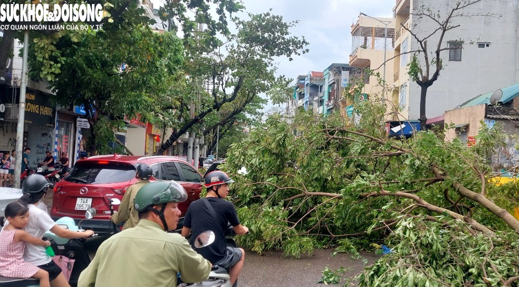 Xót xa hình ảnh thành phố du lịch Hạ Long sau bão số 3 - Ảnh 3.