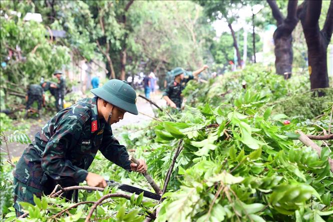 Trên 25.000 cây xanh ở Hà Nội gãy đổ do bão số 3- Ảnh 2.