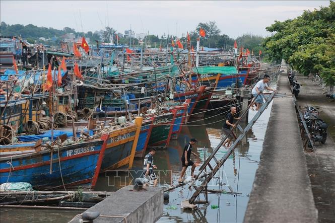 Tiếp tục tìm kiếm tàu, thuyền mất liên lạc trên biển- Ảnh 1.