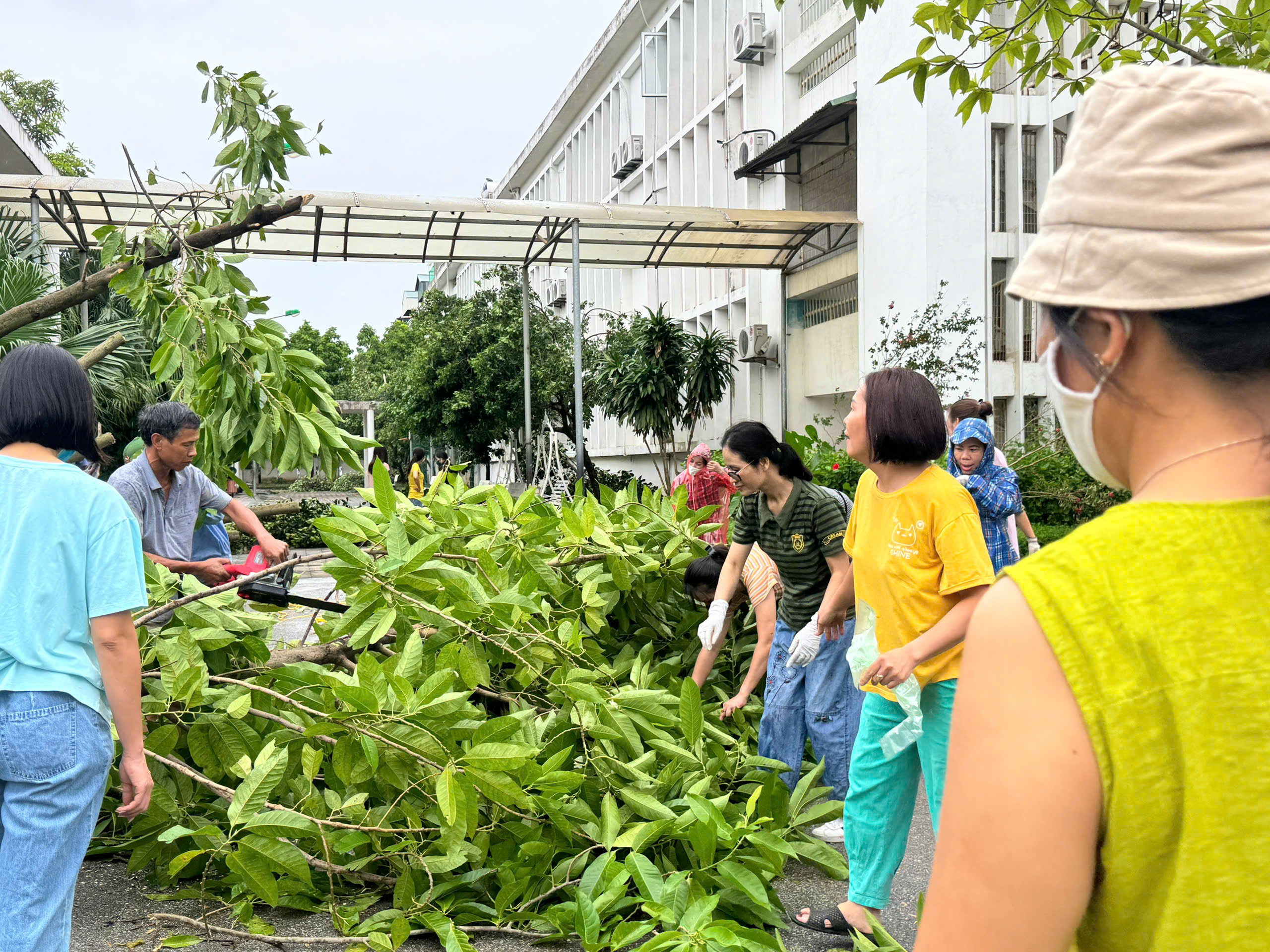 Trường học ở Hà Nội gấp rút khắc phục hậu quả do bão số 3- Ảnh 12.