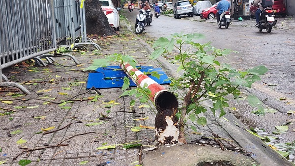 Sau bão số 3, hàng loạt cột biển báo giao thông xiêu vẹo, đổ gãy nằm phơi mình trên đường- Ảnh 3.