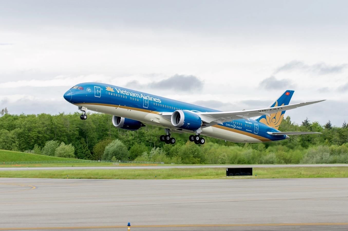 Sức khoẻ hành khách nguy cấp, máy bay Vietnam Airlines đi Hà Nội hạ cánh Đà Nẵng- Ảnh 1.