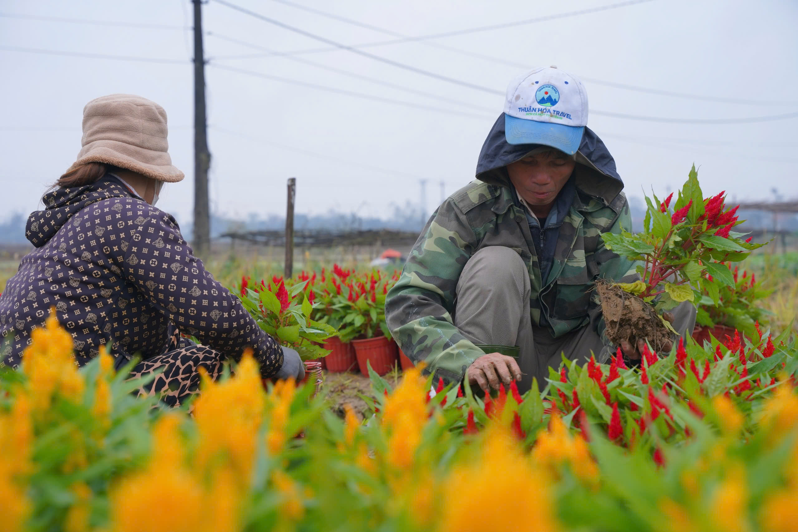 Nhộn nhịp làng hoa nổi tiếng xứ Huế ngày cuối năm, người dân mong 'thắng lớn'- Ảnh 6.