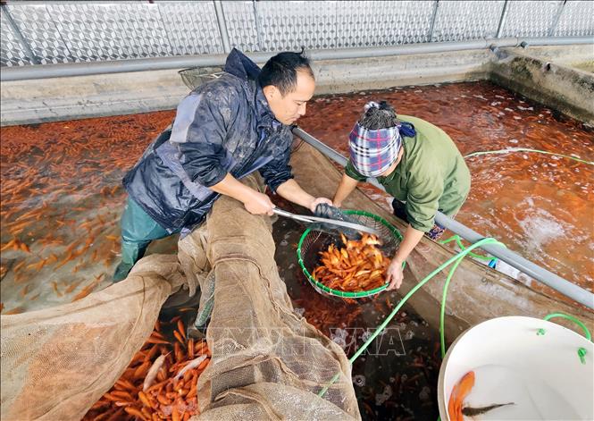 Làng Thủy Trầm 'đỏ rực' đón Tết ông Công, ông Táo- Ảnh 5.