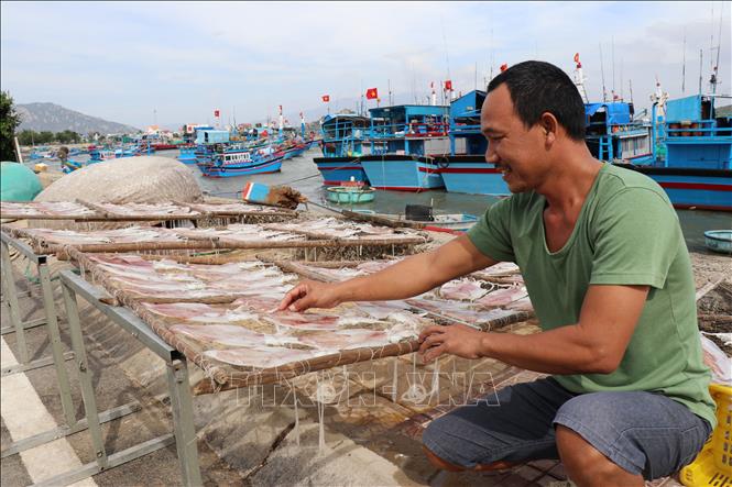 Giá nhiều loại hải sản khô tăng cao dịp cận Tết- Ảnh 1.