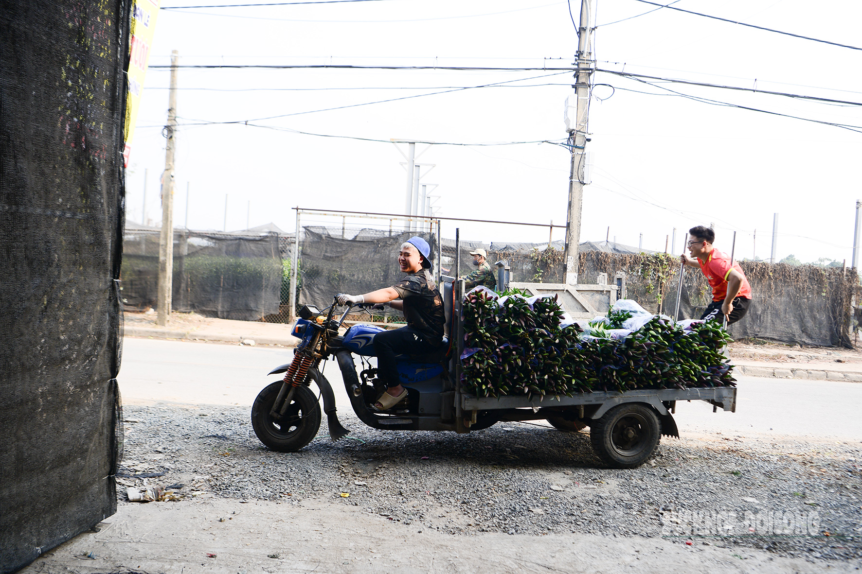 Người trồng hoa Tây Tựu hối hả 'bung hàng' Tết- Ảnh 7.