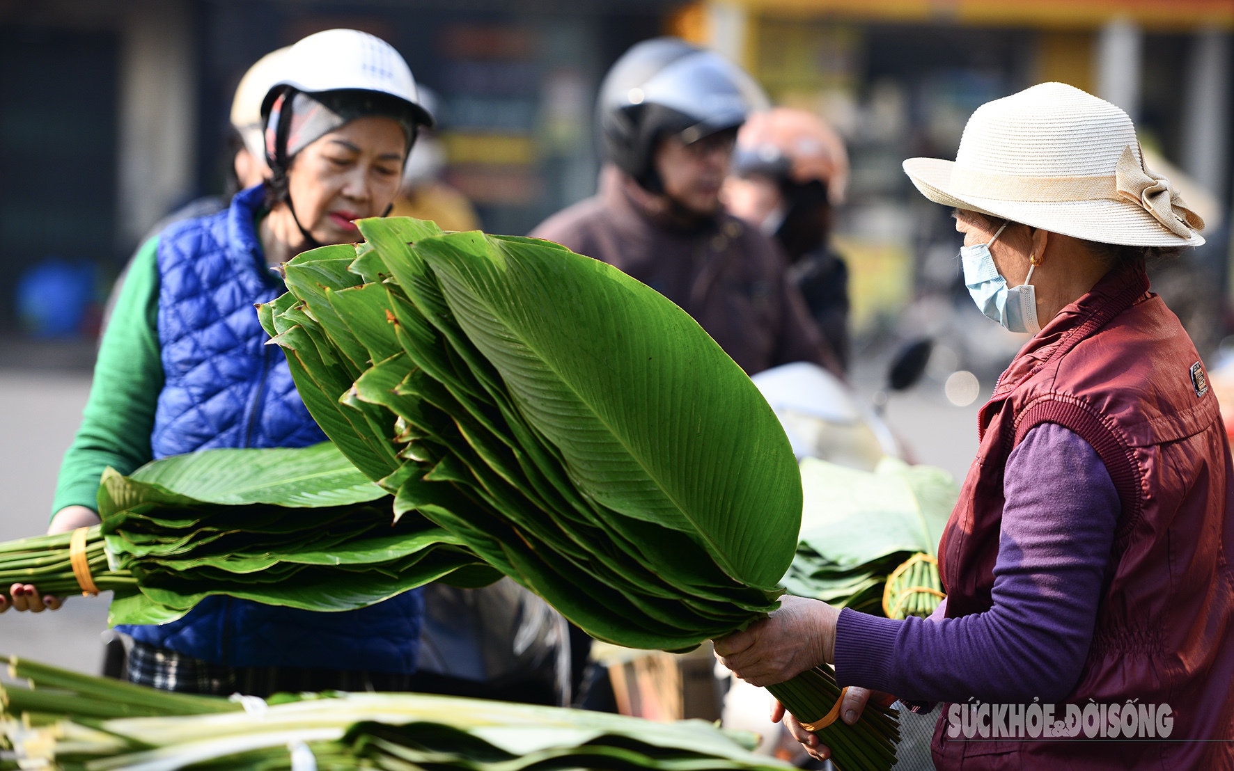 Chợ lá dong lâu đời nhất Thủ đô nhộn nhịp ngày cận Tết