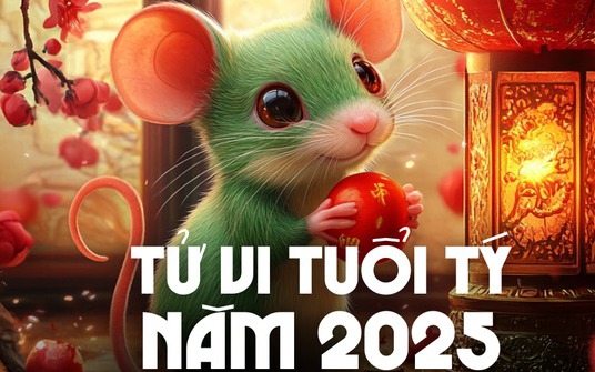 Tử vi tuổi Tý 2025: Biến động, thử thách xen lẫn nhiều cơ hội