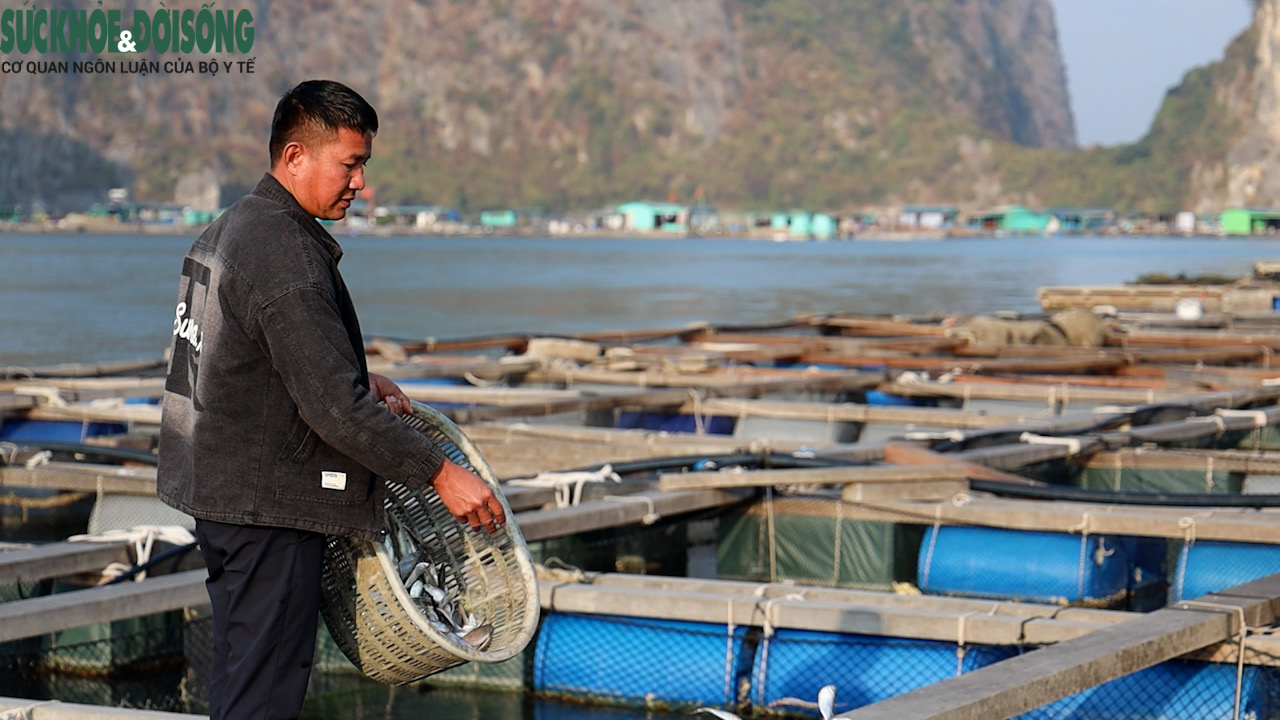 Làng chài Ông Cụ đón Tết với ước vọng mới- Ảnh 2.