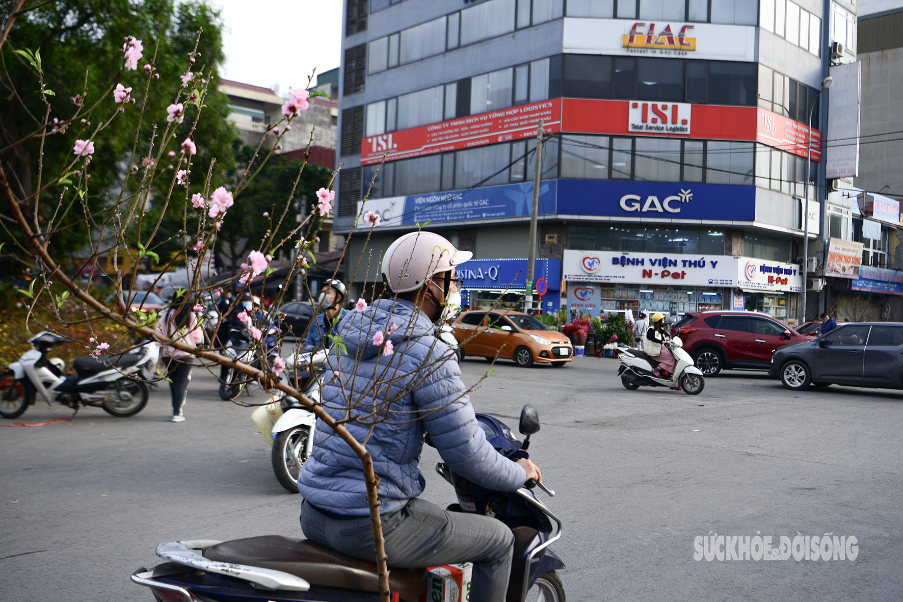 Người dân Thủ đô hối hả ‘chở Xuân’ về nhà - Ảnh 13.