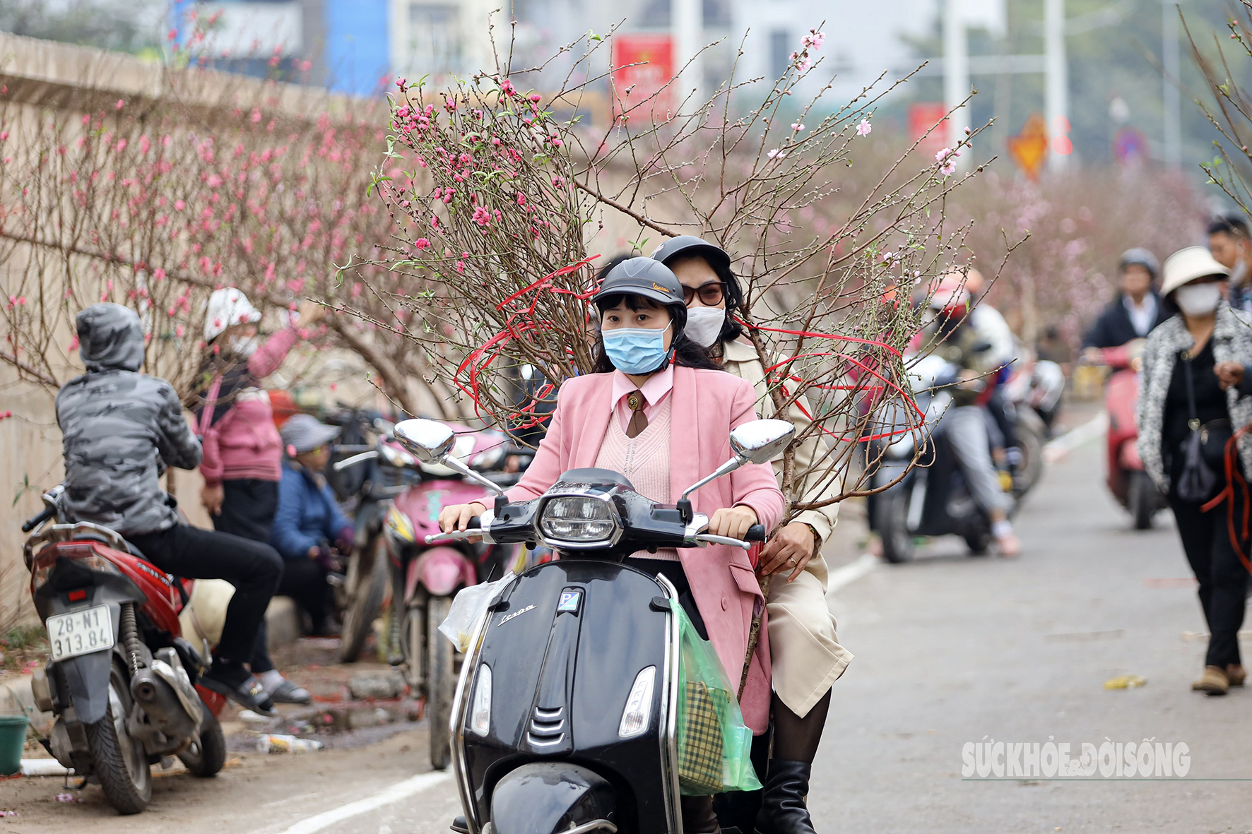 Người dân Thủ đô hối hả ‘chở Xuân’ về nhà - Ảnh 3.