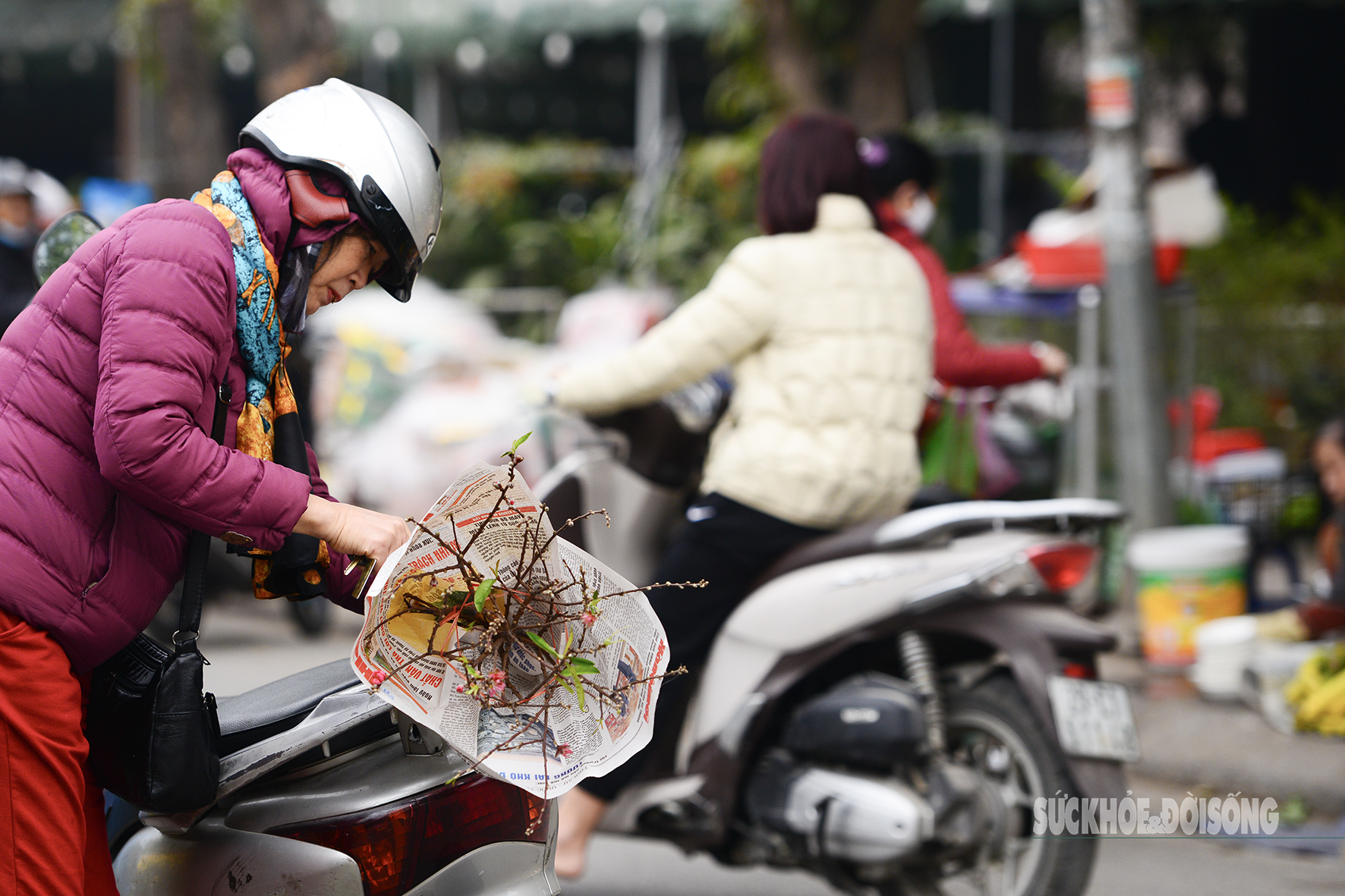 Người dân Thủ đô hối hả ‘chở Xuân’ về nhà - Ảnh 5.