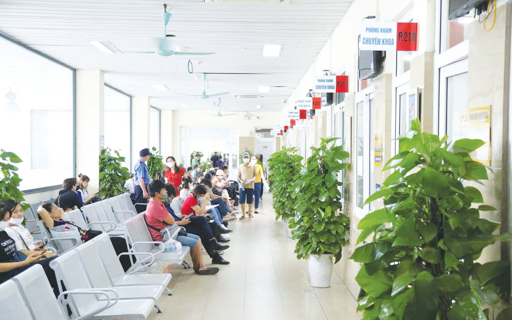 Bệnh viện xanh - sạch - đẹp: Lan tỏa hành động xuất phát từ tâm