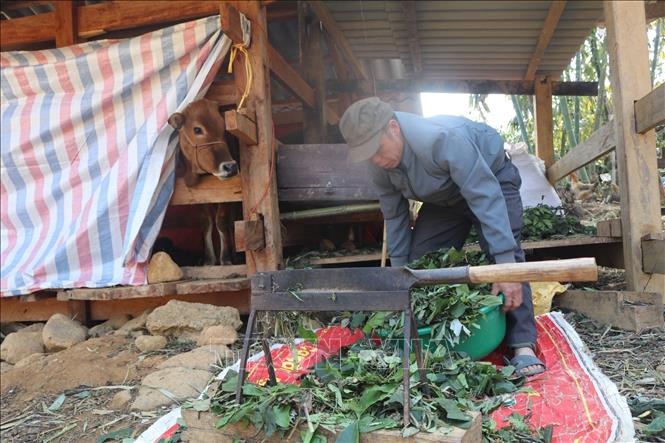 Thủ tướng Chính phủ chỉ đạo chủ động phòng, chống rét đậm, rét hại kéo dài- Ảnh 2.