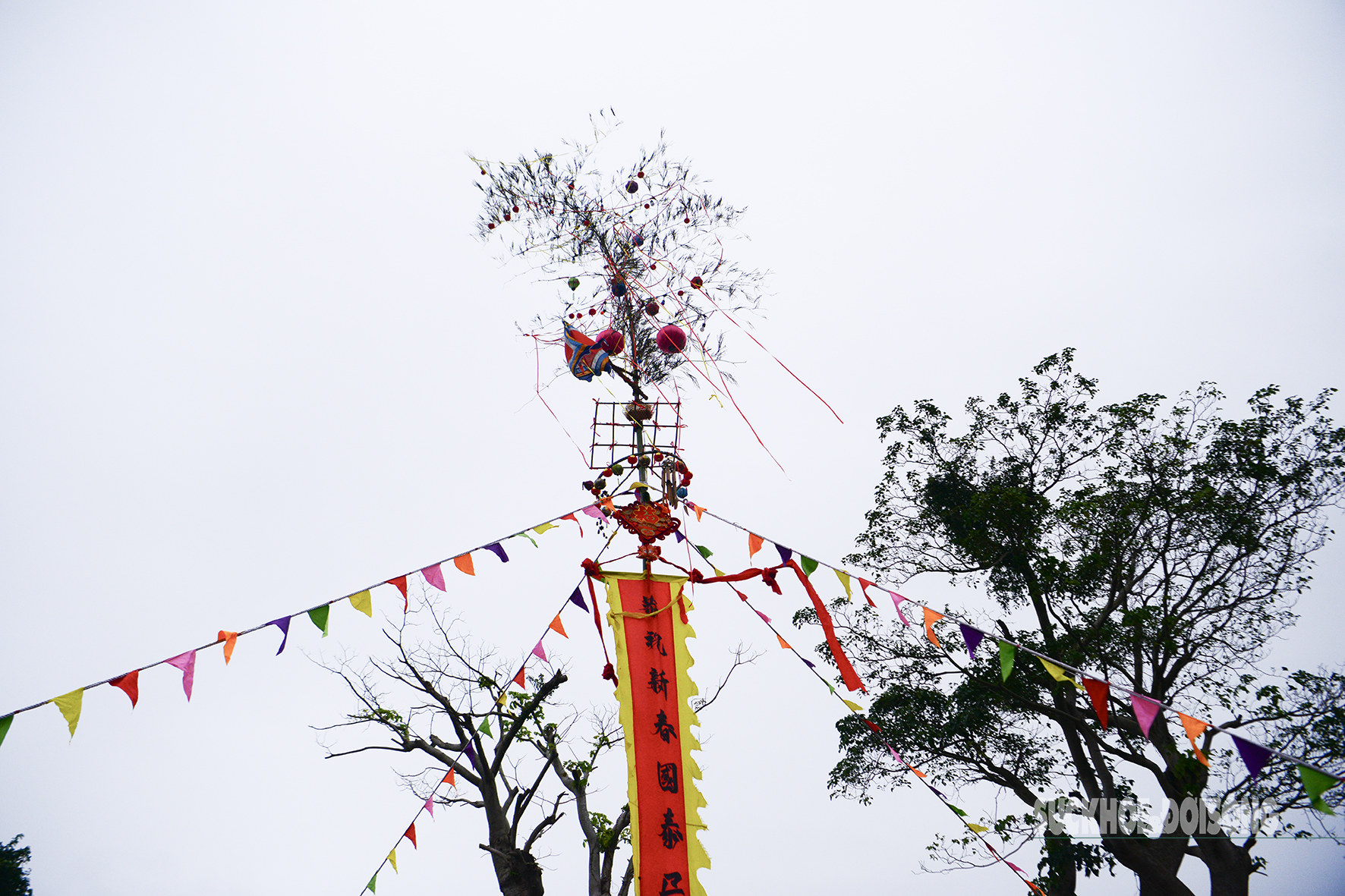 Hội An ngập tràn sắc xuân- Ảnh 15.