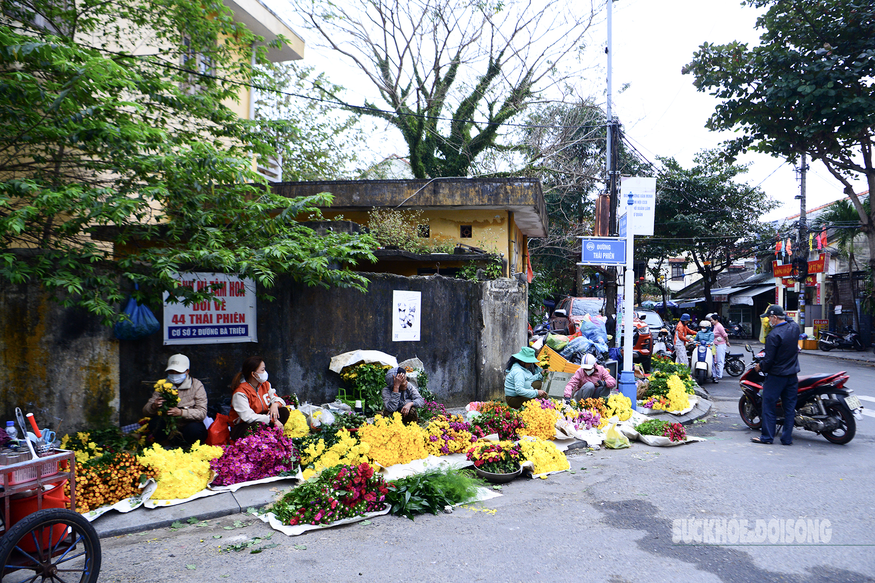 Hội An ngập tràn sắc xuân- Ảnh 6.