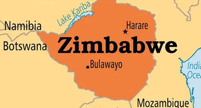 Bé trai Zimbabwe 7 tuổi sống sót sau 5 ngày lạc vào khu bảo tồn đầy thú dữ- Ảnh 1.