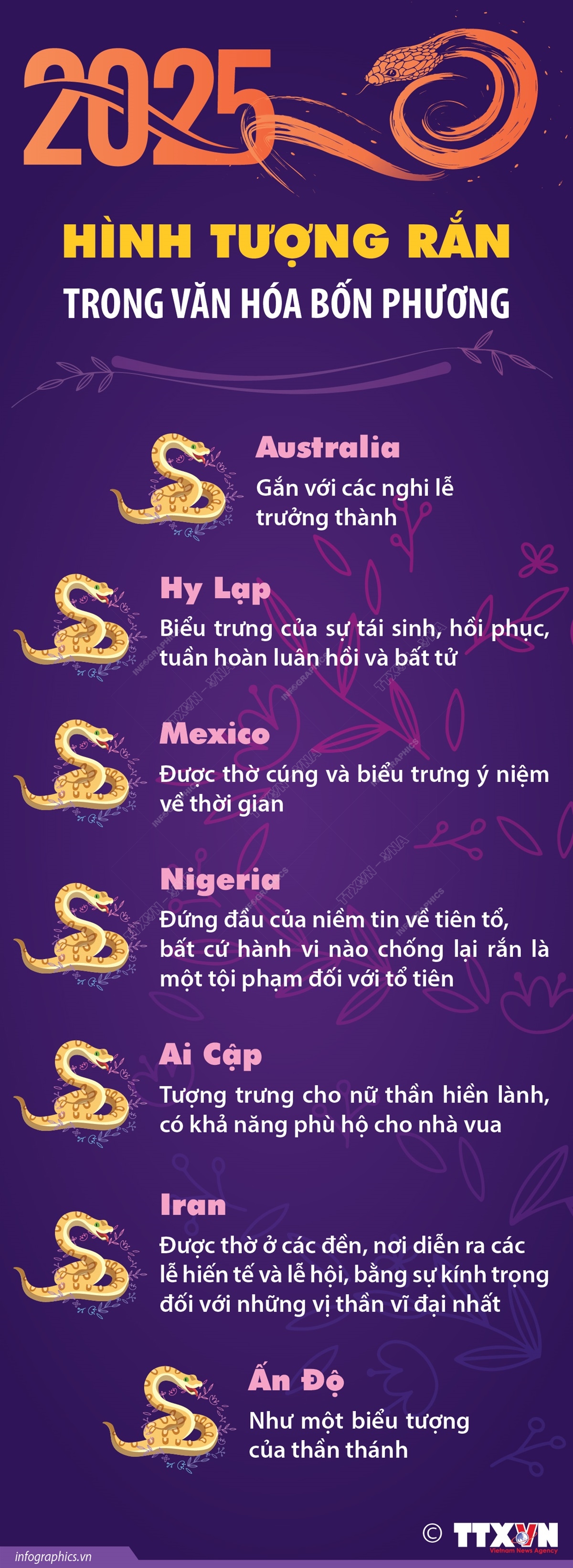 Hình tượng rắn trong văn hóa bốn phương- Ảnh 1.