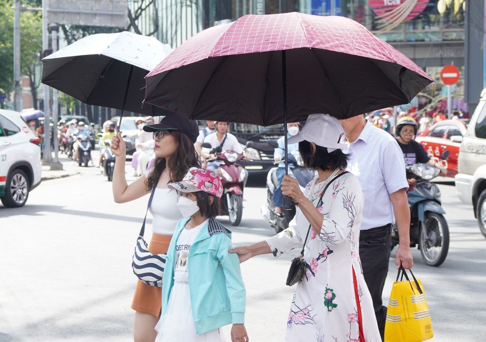 TP Hồ Chí Minh: Người dân 'đội nắng' du Xuân tại Đường hoa và Đường sách Tết- Ảnh 11.