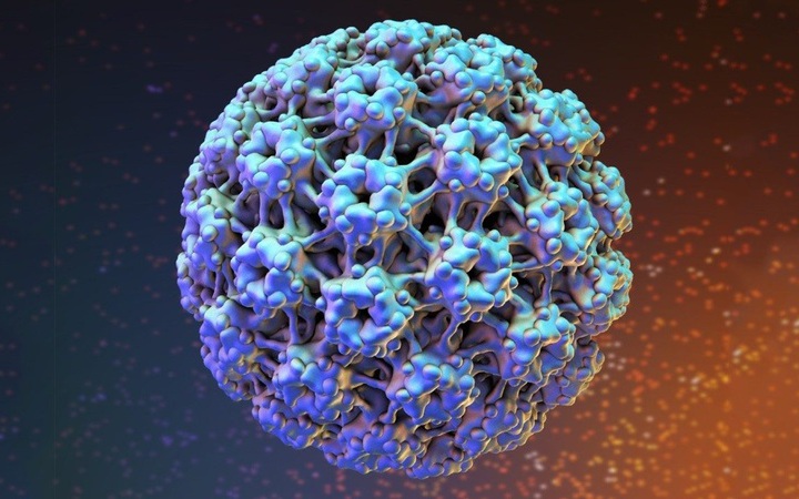 Nam giới có thể bị nhiễm virus HPV không?- Ảnh 3. Nguyên nhân lây nhiễm virus HPV và cách phòng ngừa