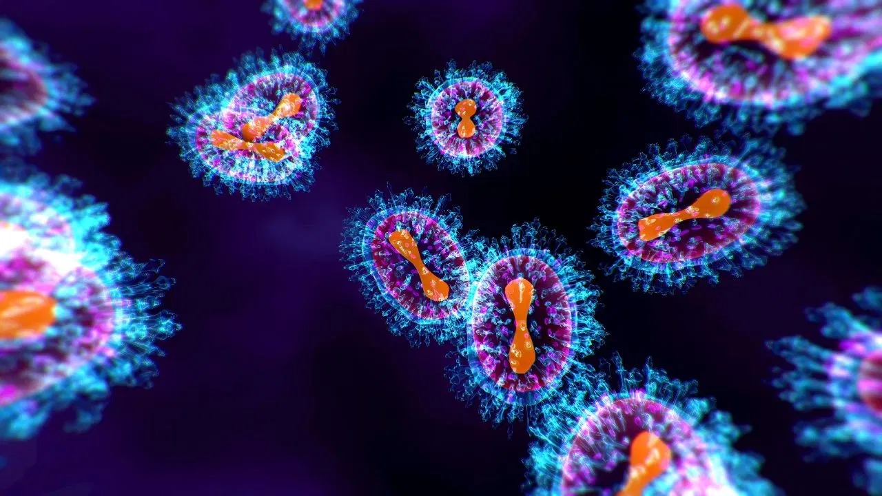 Virus HMPV gây viêm phổi ở người có lây qua quan hệ tình dục?- Ảnh 1.