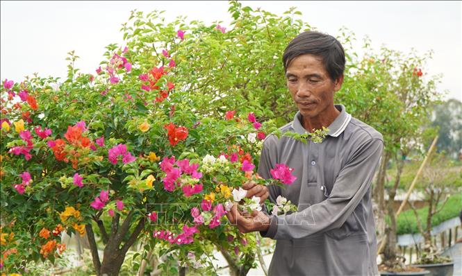 Làng nghề hoa giấy Tân Dương chuẩn bị hàng triệu chậu hoa phục vụ Tết- Ảnh 1.