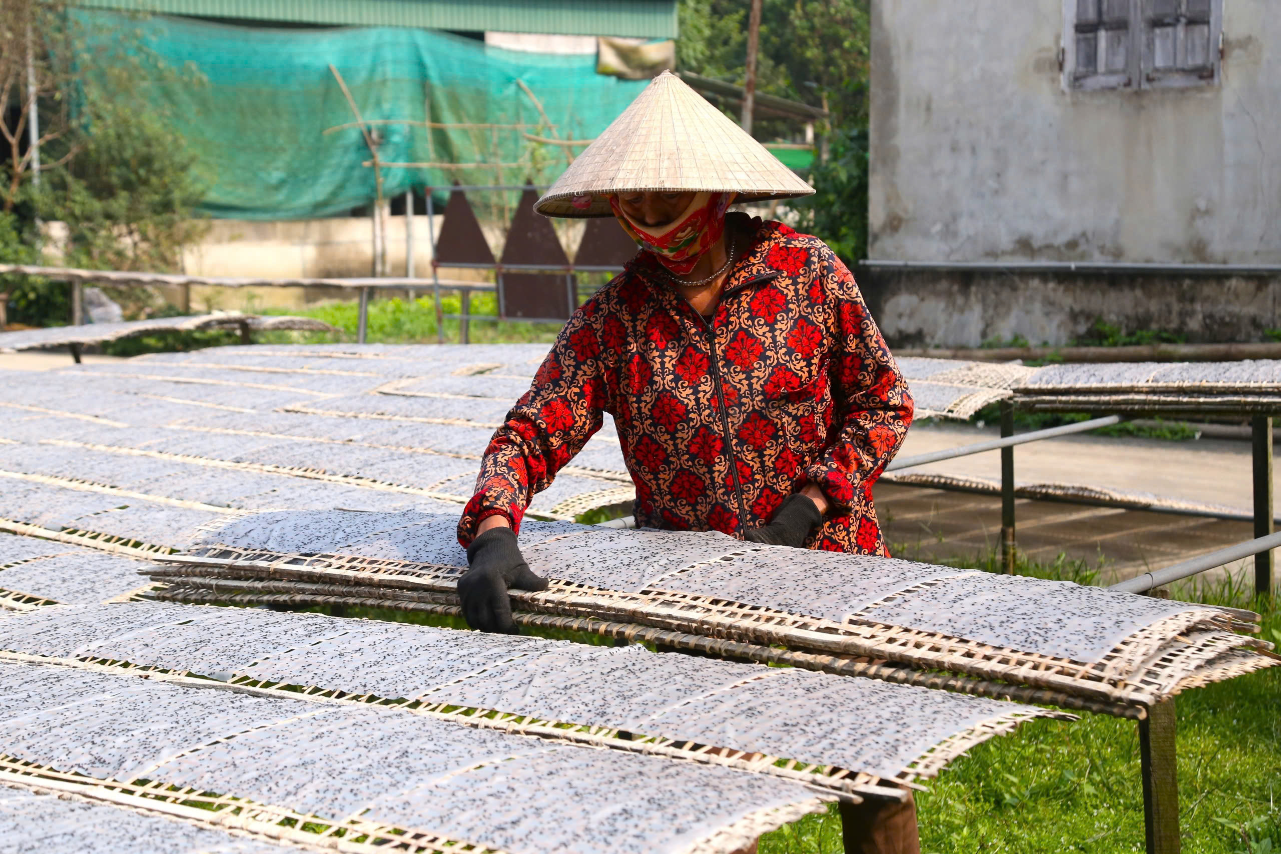 Làng bánh đa rộn ràng từ 3h sáng, 'chạy đua' vào vụ Tết- Ảnh 9.