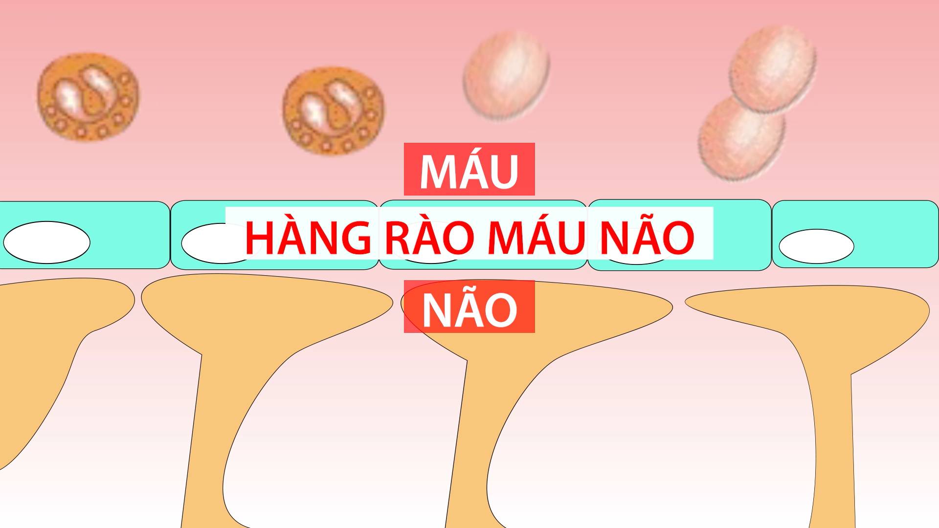 Nghe chuyên gia giải đáp về bột ngọt: Liệu có khiến 'quên người yêu cũ'- Ảnh 3.
