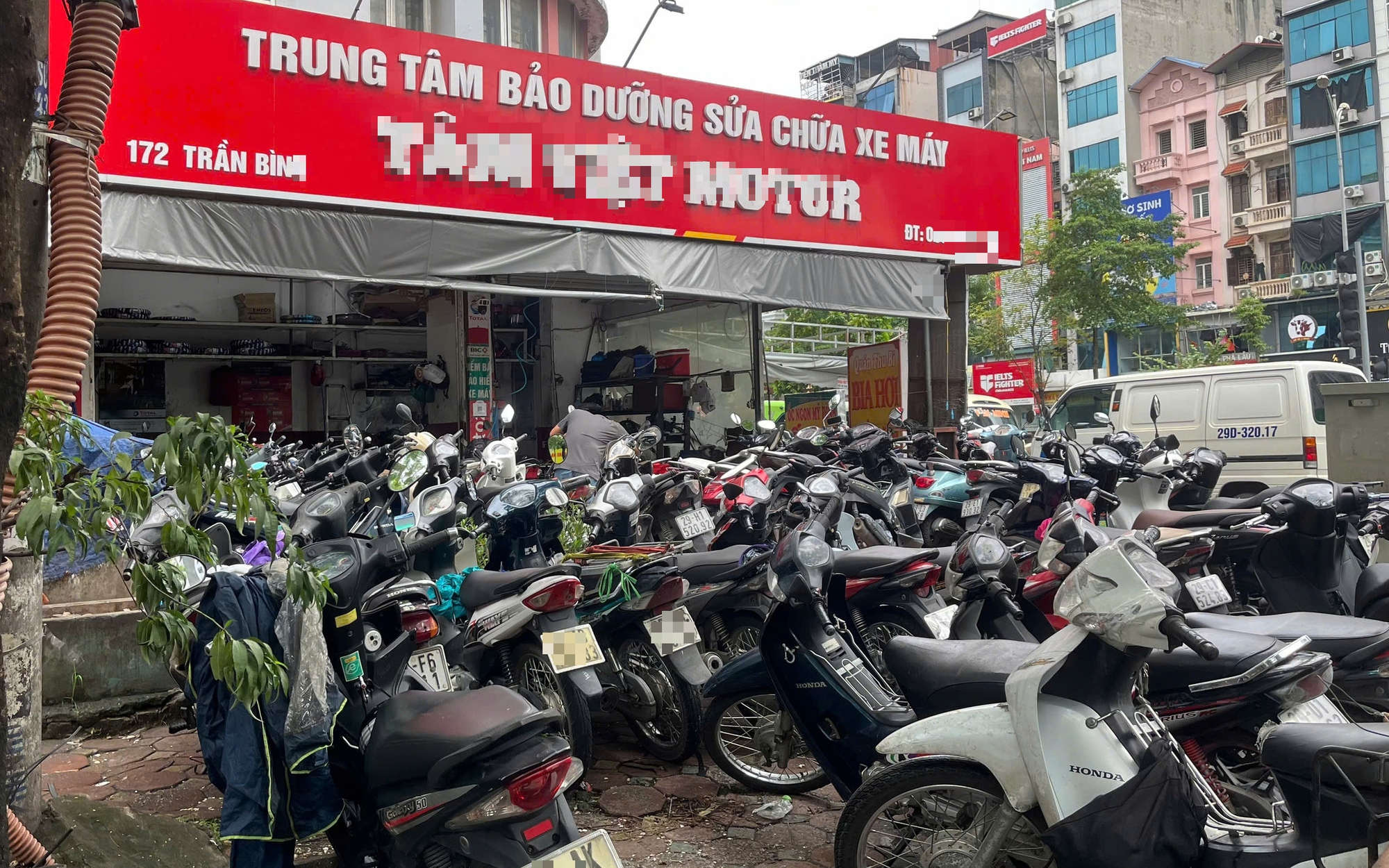 Bà nội trợ Hà Nội choáng với giá rau muống 20.000 đồng/bó- Ảnh 8.
