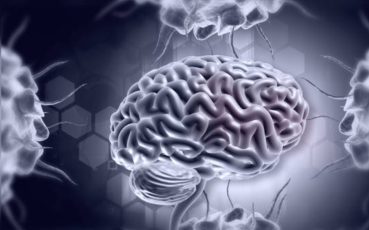 3 chất giúp tăng cường trí nhớ cho bộ não - Ảnh 2. 5 bài tập giúp rèn luyện trí não, tăng cường trí nhớ và khả năng tập trung