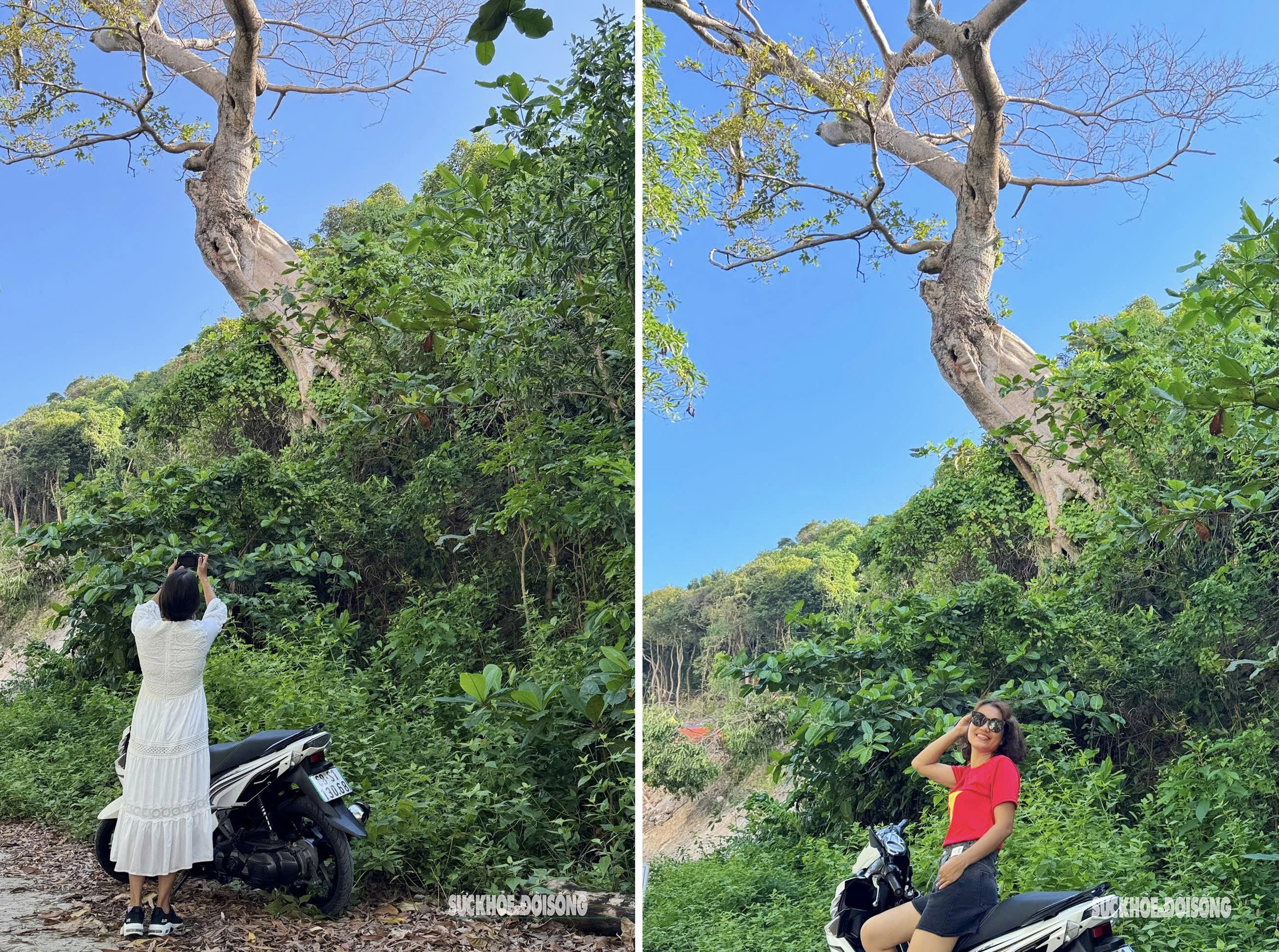 Đảo Nam Du níu chân du khách bởi vẻ đẹp hoang sơ- Ảnh 9. Đảo Nam Du níu chân du khách bởi vẻ đẹp hoang sơ- Ảnh 9.