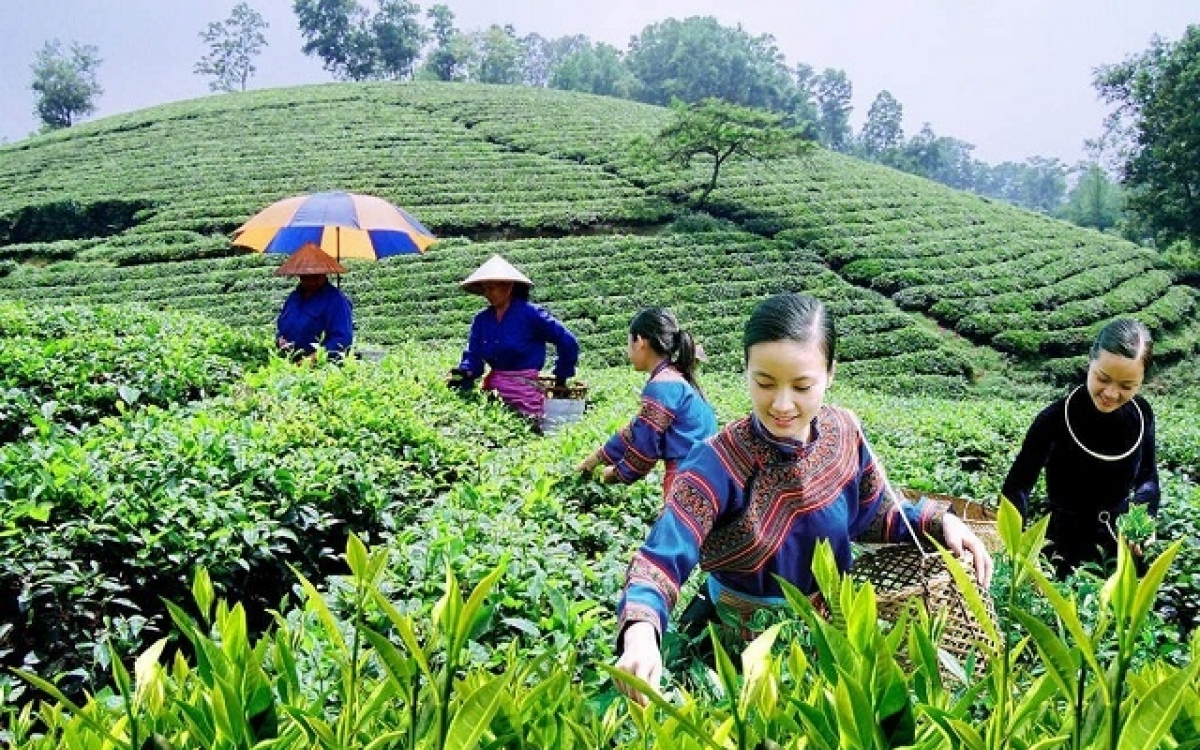 Lào Cai xây dựng nông thôn mới kiểu mẫu từ năm 2025