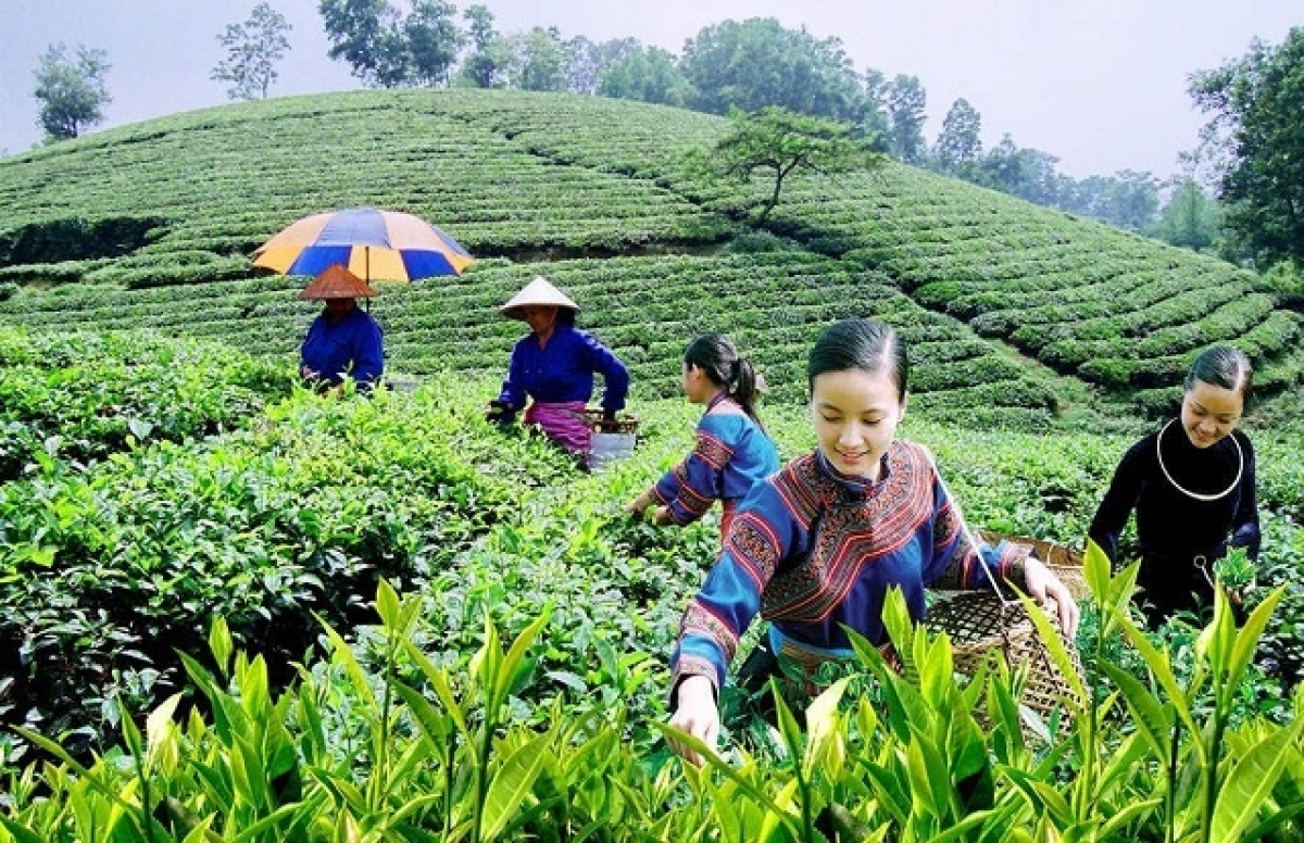 Lào Cai xây dựng nông thôn mới kiểu mẫu từ năm 2025- Ảnh 2. Lào Cai xây dựng nông thôn mới kiểu mẫu từ năm 2025- Ảnh 2.