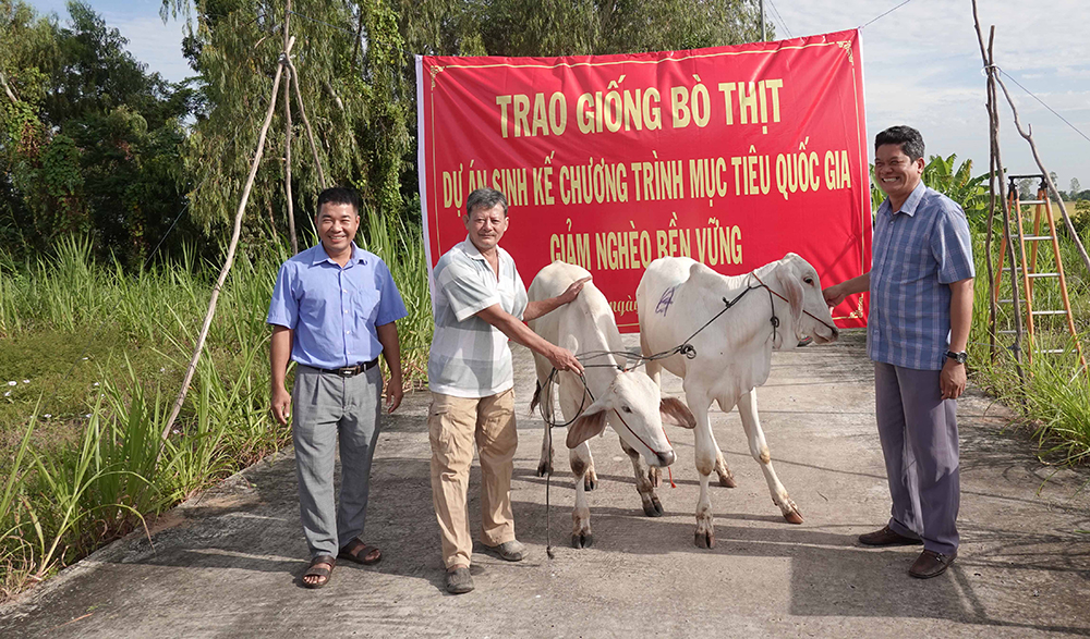 An Giang: Tích cực triển khai Chương trình quốc gia giảm nghèo bền vững- Ảnh 1. A group of men standing next to a group of cows AI-generated content may be incorrect.
