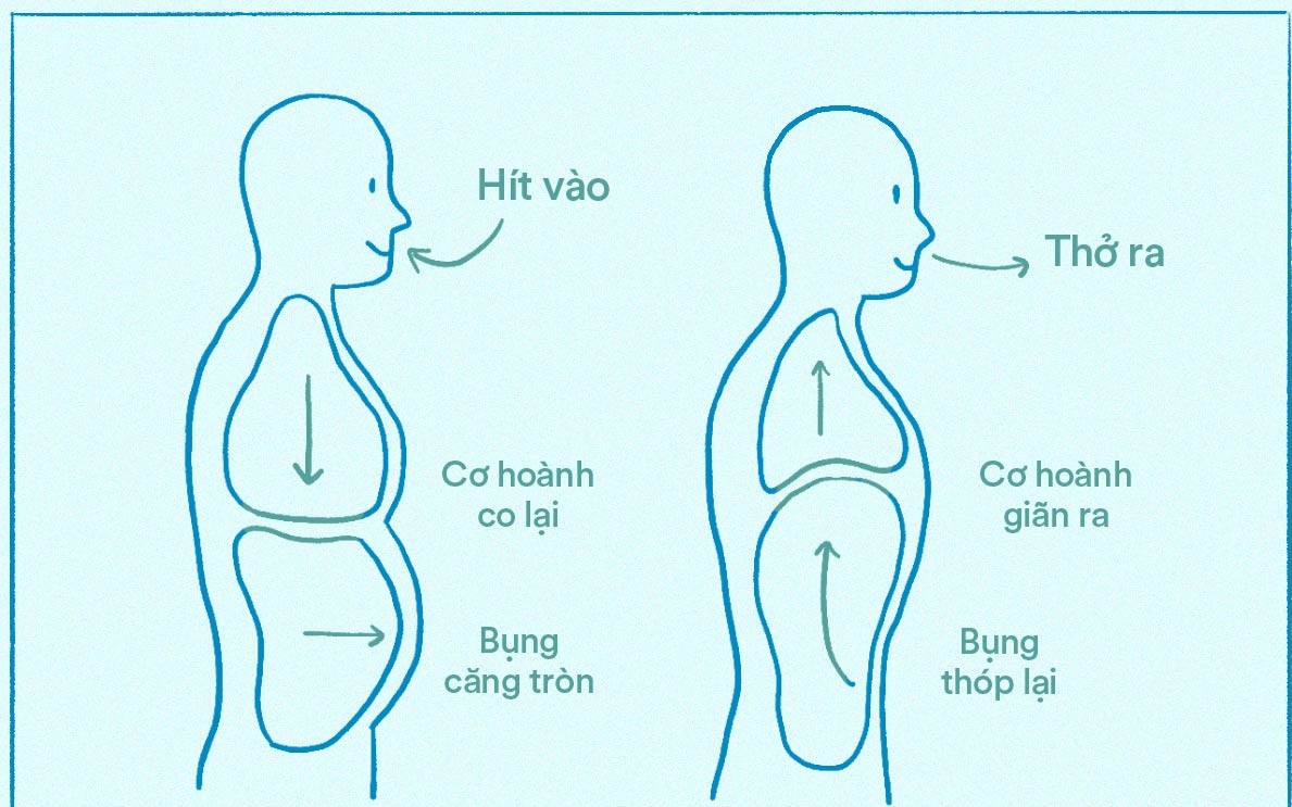 Đối phó với ô nhiễm không khí: 5 cách đơn giản giúp bạn có lá phổi khỏe mạnh- Ảnh 2. 5 bài tập dưỡng sinh tốt cho phổi