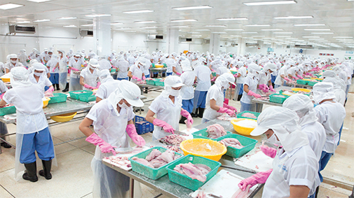 Thủy sản Mekong giải trình chênh lệch lợi nhuận- Ảnh 1. Thủy sản Mekong giải trình chênh lệch lợi nhuận- Ảnh 1.