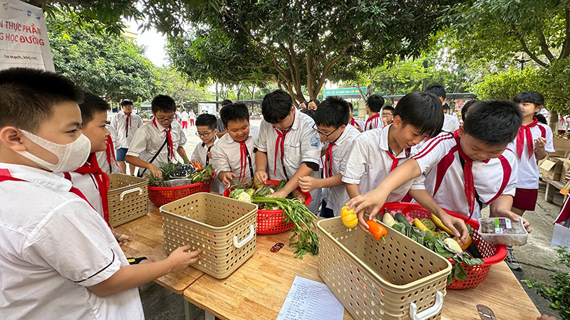 Nghịch lý dinh dưỡng học đường: Vì sao trẻ thừa cân vẫn 'đói' vi chất?- Ảnh 3. Nghịch lý dinh dưỡng học đường: Vì sao trẻ thừa cân vẫn 'đói' vi chất?- Ảnh 3.