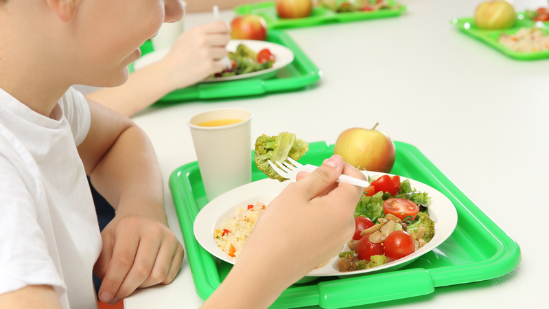 Nghịch lý dinh dưỡng học đường: Vì sao trẻ thừa cân vẫn 'đói' vi chất?- Ảnh 4. Nghịch lý dinh dưỡng học đường: Vì sao trẻ thừa cân vẫn 'đói' vi chất?- Ảnh 4.