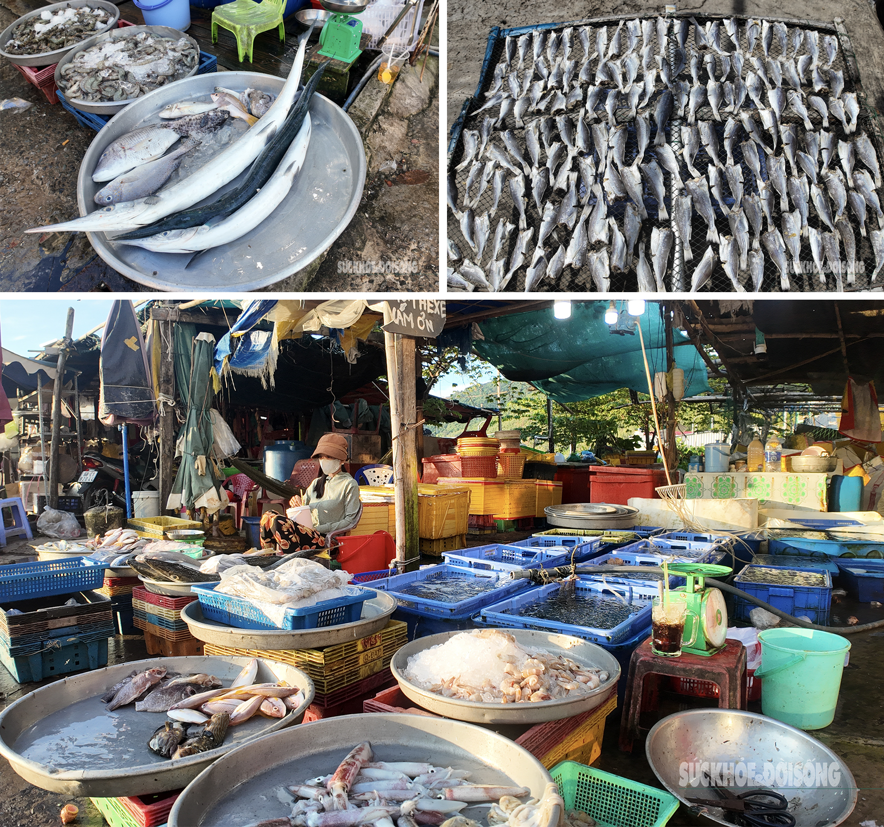 Buổi sáng ở quần đảo Nam Du - Ảnh 11. Buổi sáng ở quần đảo Nam Du - Ảnh 11.