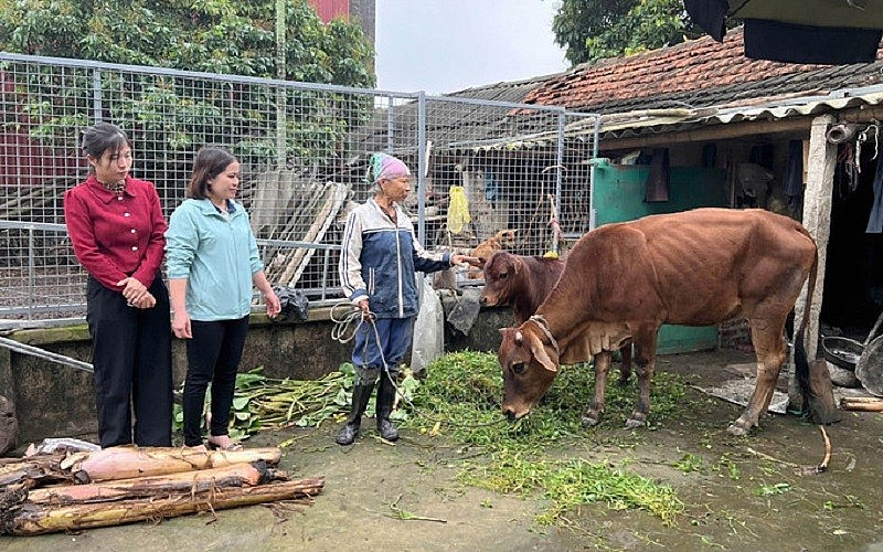 Đà Nẵng: Triển khai đồng bộ nhiều giải pháp giảm nghèo bền vững- Ảnh 3. Đà Nẵng: Triển khai đồng bộ nhiều giải pháp giảm nghèo bền vững- Ảnh 3.