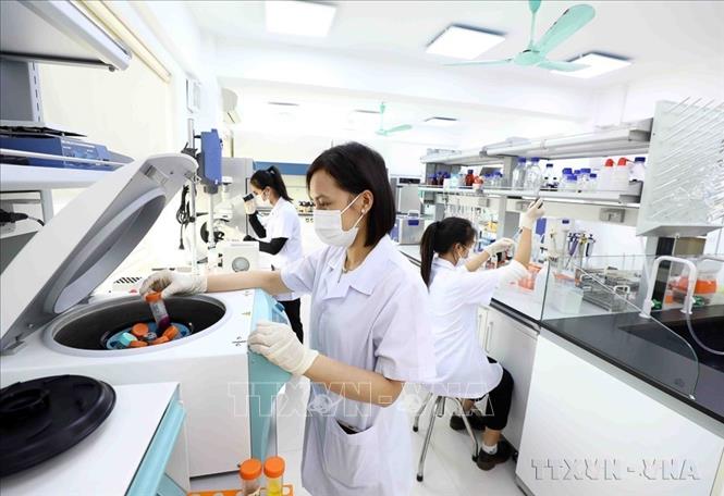 Phụ nữ Việt Nam phát huy truyền thống vẻ vang trong kỷ nguyên mới- Ảnh 18. Phụ nữ Việt Nam phát huy truyền thống vẻ vang trong kỷ nguyên mới- Ảnh 18.