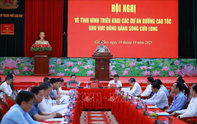 Thủ tướng chủ trì hội nghị triển khai các dự án đường cao tốc khu vực Đồng bằng sông Cửu Long- Ảnh 3. Thủ tướng chủ trì hội nghị triển khai các dự án đường cao tốc khu vực Đồng bằng sông Cửu Long- Ảnh 3.