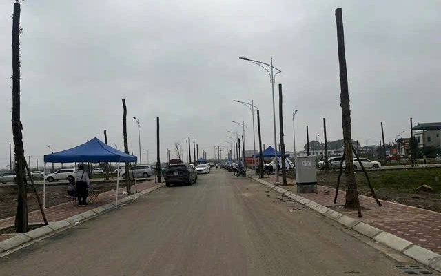 Đề xuất đấu giá rồi bỏ cọc bị cấm tham gia đến 5 năm