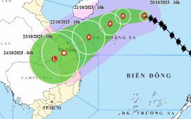 Đảm bảo an toàn hệ thống đê điều ứng phó bão số 12 và mưa lũ- Ảnh 1.