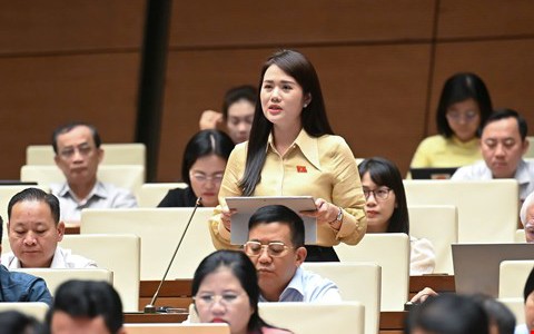 Vết thương dai dẳng từ bạo lực học đường và bài toán an toàn chưa lời giải- Ảnh 2.