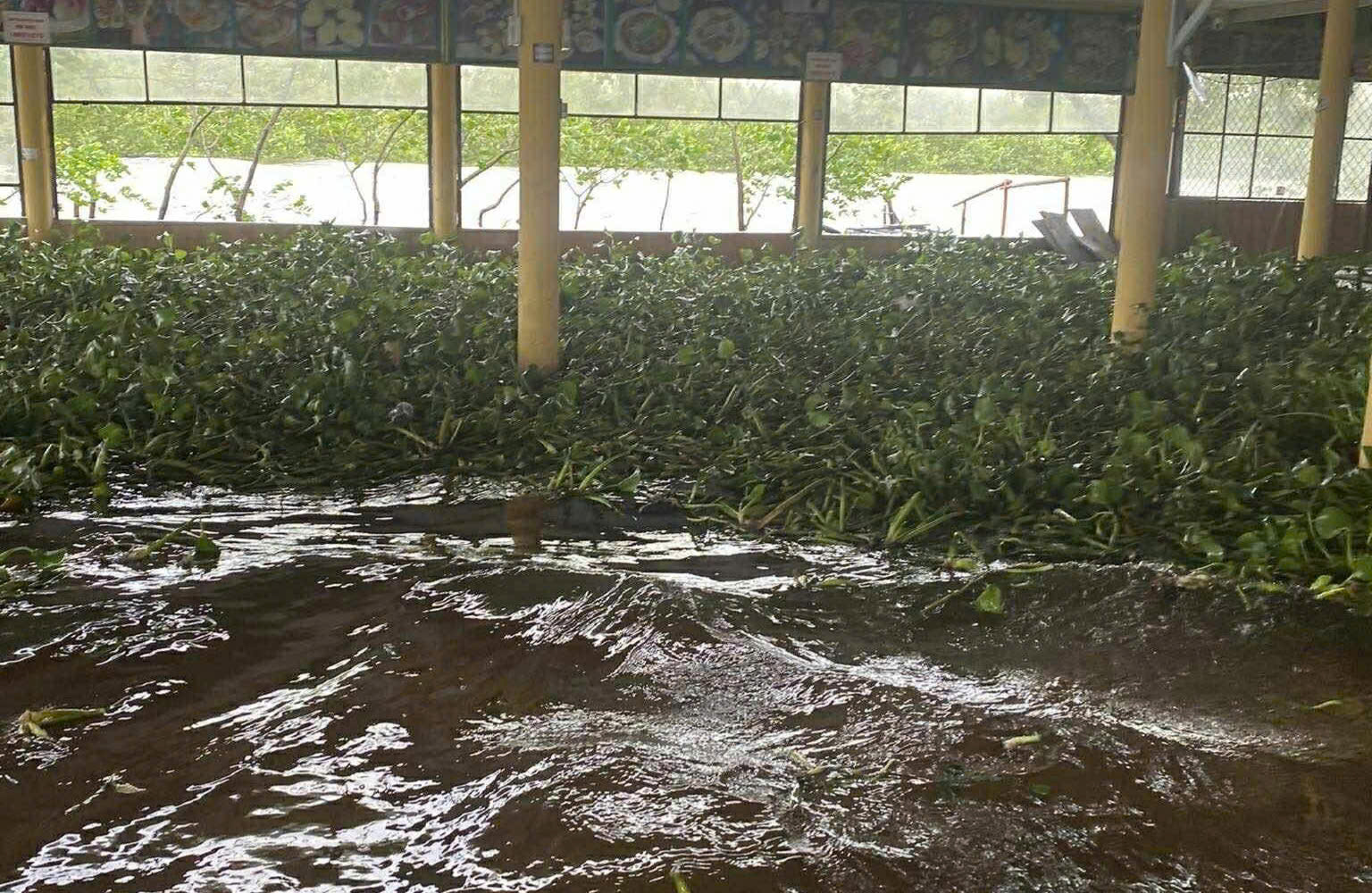 Video triều cường dâng cao gây ngập nhiều hàng quán ven phá Tam Giang- Ảnh 4.