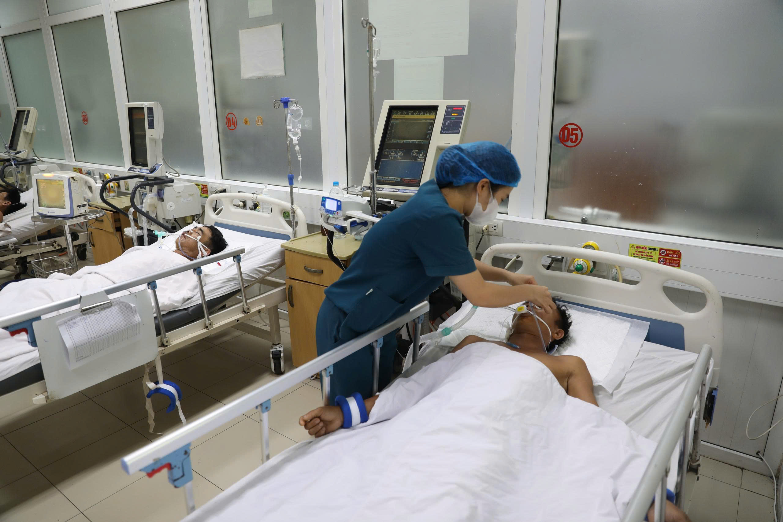 Mối nguy chết người từ rượu ngâm rễ cây rừng: Cảnh báo của bác sĩ- Ảnh 3.